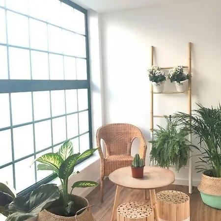 Boho House *