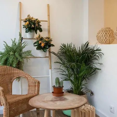 Boho House *